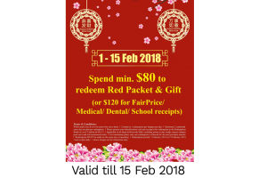 Chinese New Year 2018